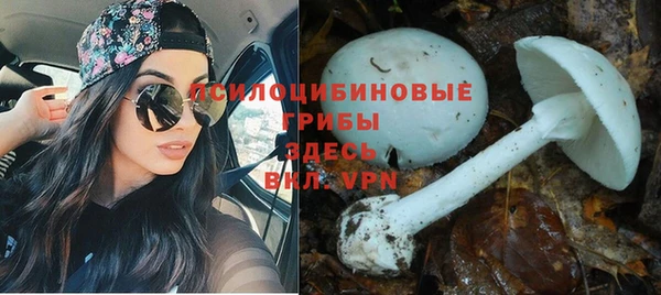 Альфа ПВП Алексеевка