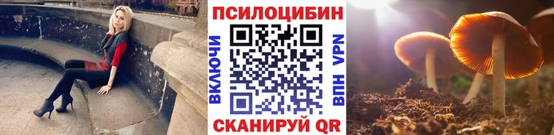 Псилоцибиновые грибы Psilocybe  OMG как зайти  Талдом 